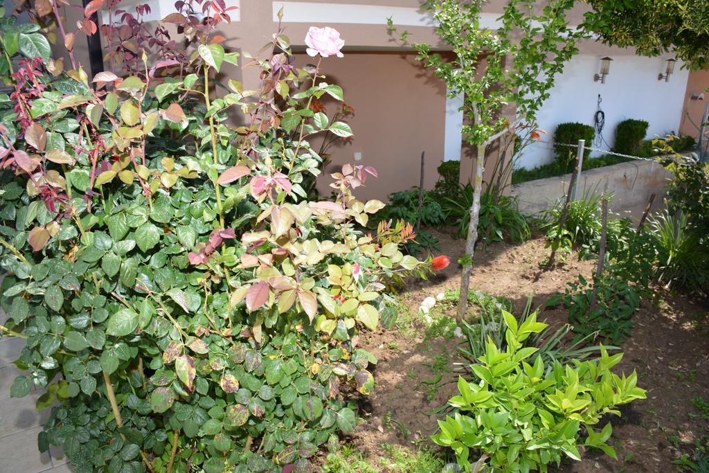 Guest House Evropa 2 乌尔齐尼 外观 照片